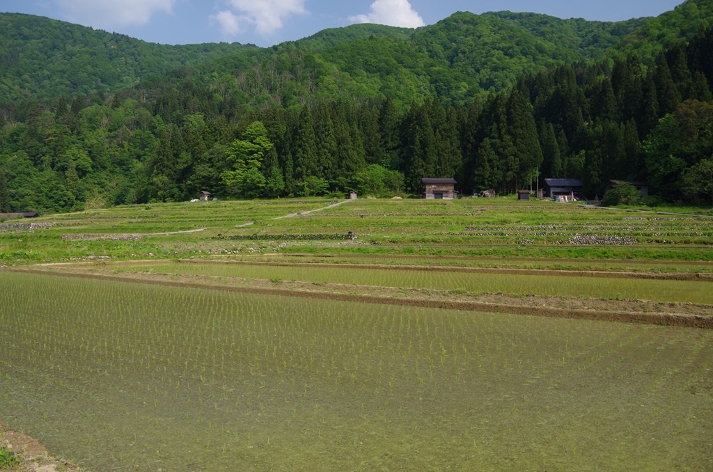 [IMGP15073.jpg]