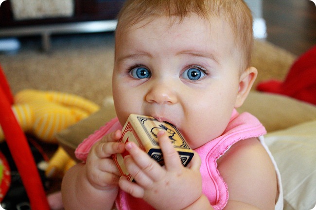 IMG_2717 IMG_2717