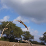 DSC02298.JPG