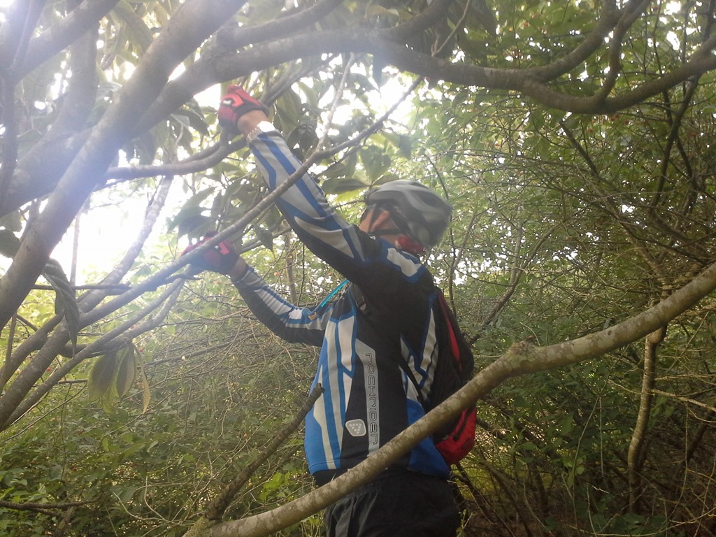 [20130619_193308%255B4%255D.jpg]