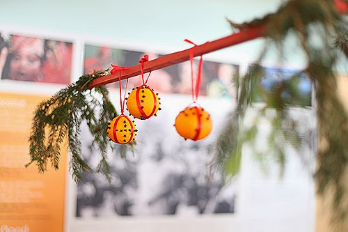 IMG_7042 IMG_7042
