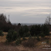 dsc05313.jpg