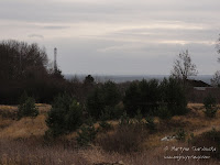 dsc05313.jpg