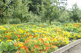 20110731_162651