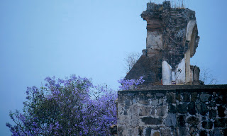 Ruined church and jacaranda tree the roof of our hotel, Antique.Photos by TOM HART