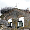 Albuera 1811-2011 PiotrZurek-1145.jpg