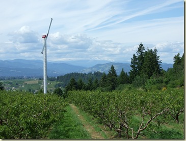 View of some of the orchards.