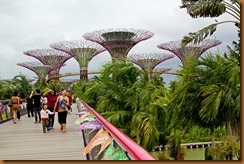 dragonfly bridge to gardens dragonfly bridge to gardens