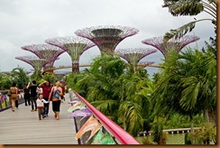 dragonfly bridge to gardens