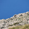 DSC_6982.JPG