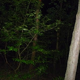 P1050580.JPG