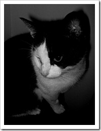 029 mimmo 029 mimmo