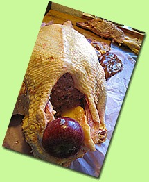IMG_7077 IMG_7077