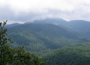 IMG_2566_resize.jpg