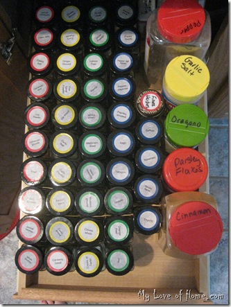 spice organization