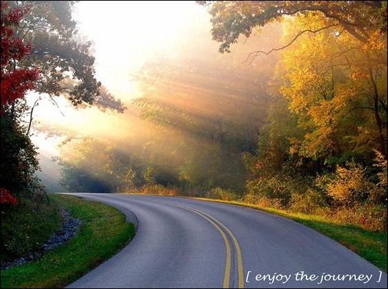 enjoy the journey