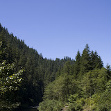 IMG_8493.jpg