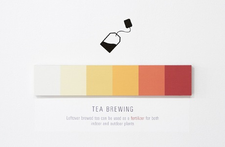 Tea Brewing