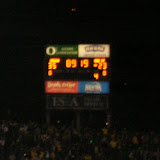 ducks 111.jpg