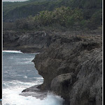 IMG_8876.JPG