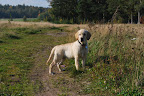 DSC_3495.JPG
