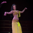 Document Name_3_204.JPG