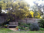 Aug 12 - Spring in the Garden