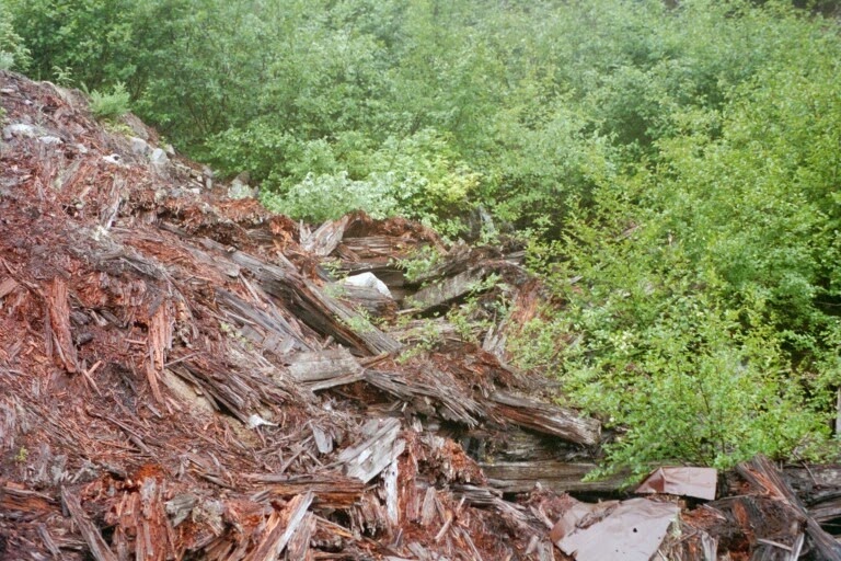 [259159934-2002-Collapsed-Snowshed2.jpg]