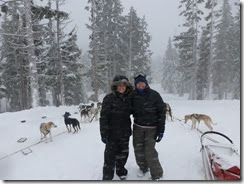Dog sled 2014, snow 013 - Copy