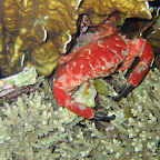 IMG_1917.JPG