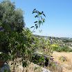 Kreta-07-2012-226.JPG