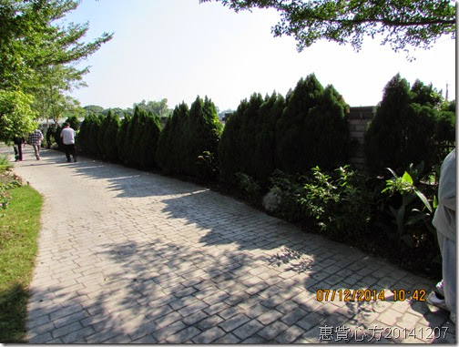 IMG_0145 IMG_0145