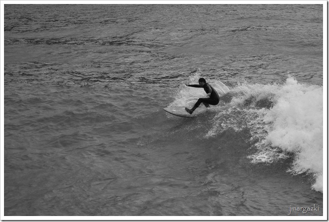 DSC_6629 DSC_6629