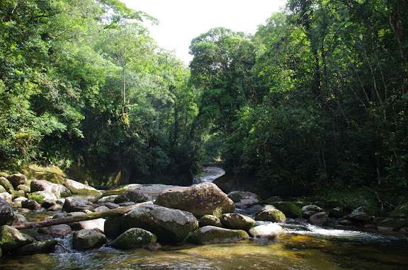 Rio Pouso Alto. Sertao de Barra do Una (Sao Sebastiao, SP). 25 février 2012. Photo : J.-M. Gayman