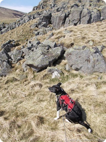 pooch on cunyan crags
