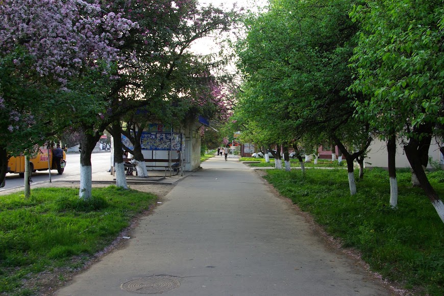 uzhgorod-0017.JPG