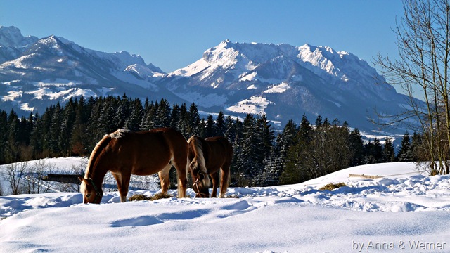 [2012_01_15%2520Spaziergang%2520RundUmPeternhof20%255B3%255D.jpg]