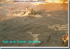 Baie de la Grande Jambe 4 Baie de la Grande Jambe 4