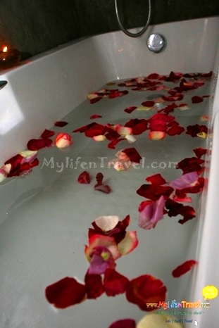 Sanora Spa 107 Sanora Spa 107