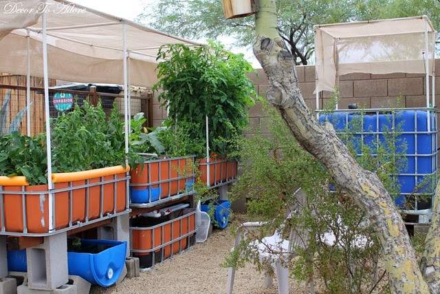 [1-DTA%2520Christmas%2520003%255B3%255D.jpg]