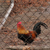 dsc05320.jpg