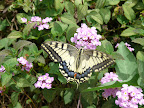 p1300354751(11).jpg