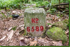 IMG_0043 IMG_0043