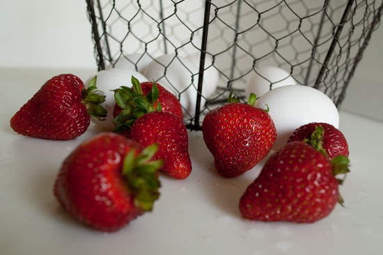 [DSC_0682%255B4%255D.jpg]