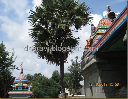 IMG_1036 IMG_1036