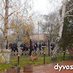 DSC08937.JPG