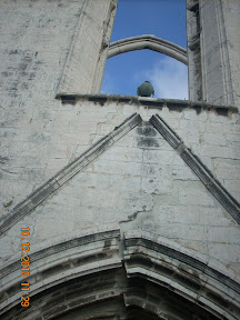 DSCN1941.JPG