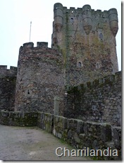 castillo 1