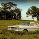 "Mowing Hazard" - copyright Dawn Olsen