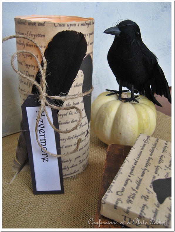 Raven book and candle cover candlecover